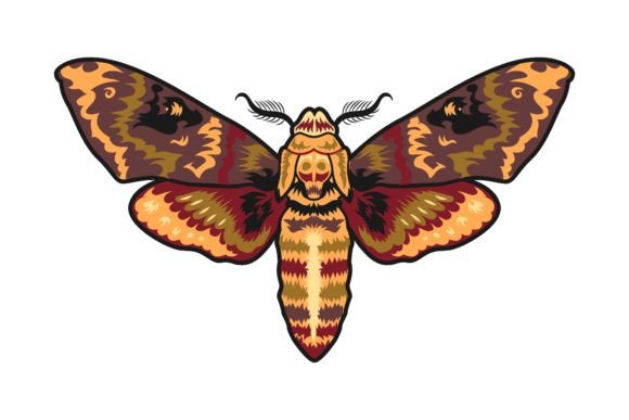 Download Moth Vintage Tattoo Element. Golden Butt - Element Collection